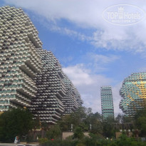 фото из отзыва ID 2740954