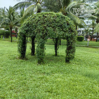 фото из отзыва ID 2740961