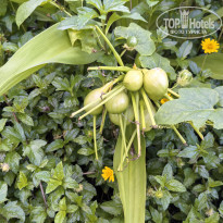 фото из отзыва ID 2740961