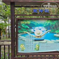 фото из отзыва ID 2740714