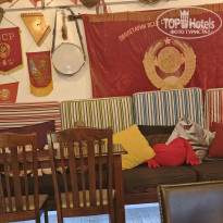 фото из отзыва ID 2740981