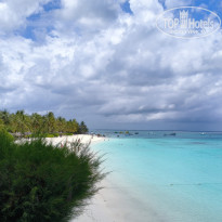 фото из отзыва ID 2740988