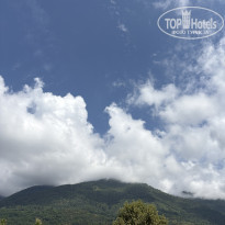 фото из отзыва ID 2740986