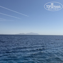 фото из отзыва ID 2740997