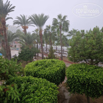 фото из отзыва ID 2741003