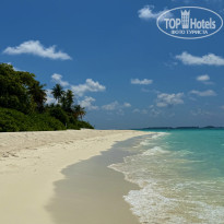 фото из отзыва ID 2741006