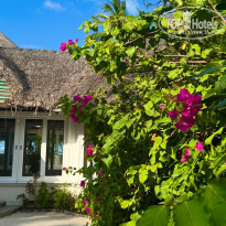 фото из отзыва ID 2741006