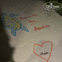 фото из отзыва ID 2741006