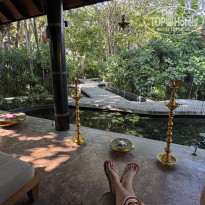 фото из отзыва ID 2741006