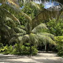 фото из отзыва ID 2741006