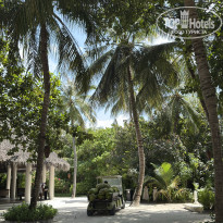 фото из отзыва ID 2741006