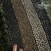 фото из отзыва ID 2741008