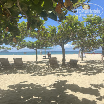 фото из отзыва ID 2741008