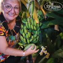 фото из отзыва ID 2741011