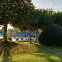 фото из отзыва ID 2741015