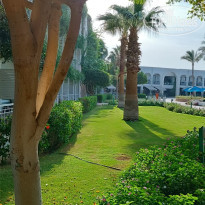 фото из отзыва ID 2741015