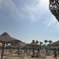 фото из отзыва ID 2741019