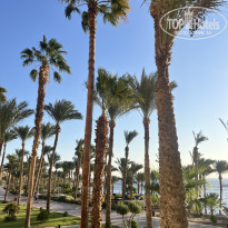 фото из отзыва ID 2741010