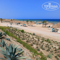 фото из отзыва ID 2741013