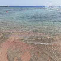 фото из отзыва ID 2741013