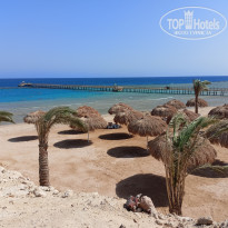 фото из отзыва ID 2741013