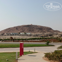 фото из отзыва ID 2741013