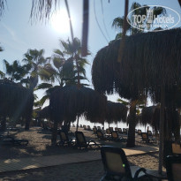 фото из отзыва ID 2741056