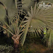 фото из отзыва ID 2741066