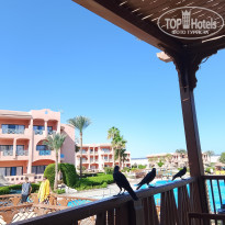 фото из отзыва ID 2741079