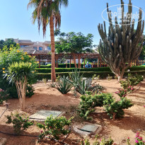 фото из отзыва ID 2741079