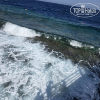 фото из отзыва ID 2741096