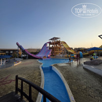 фото из отзыва ID 2741096