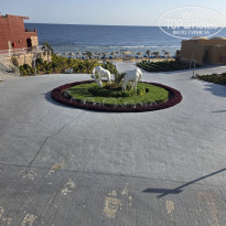 фото из отзыва ID 2741096