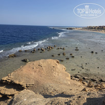 фото из отзыва ID 2741096