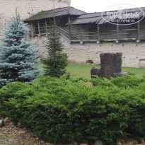 фото из отзыва ID 2741161