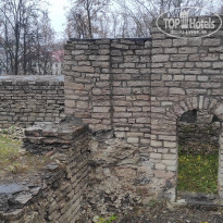 фото из отзыва ID 2741161