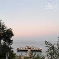 фото из отзыва ID 2741166