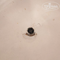 фото из отзыва ID 2741177