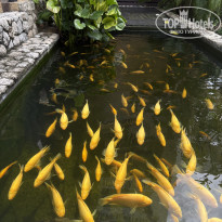 фото из отзыва ID 2741182