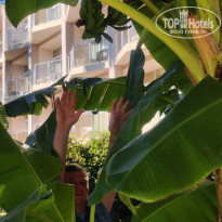 фото из отзыва ID 2741183