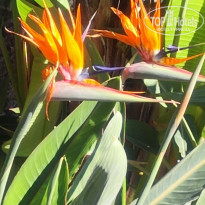 фото из отзыва ID 2741183