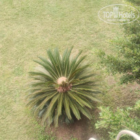 фото из отзыва ID 2741183