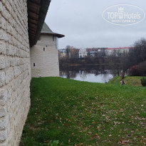 фото из отзыва ID 2741184