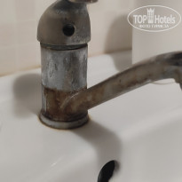 фото из отзыва ID 2741184