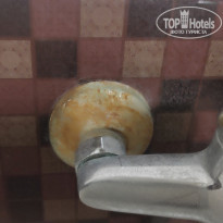 фото из отзыва ID 2741184