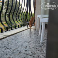 фото из отзыва ID 2741195