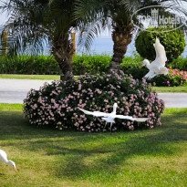 фото из отзыва ID 2741201