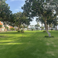 фото из отзыва ID 2741019