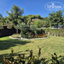 фото из отзыва ID 2740486