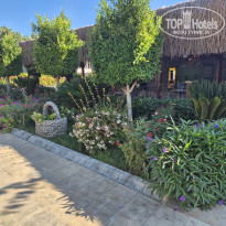 фото из отзыва ID 2740486